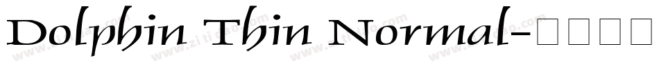 Dolphin Thin Normal字体转换